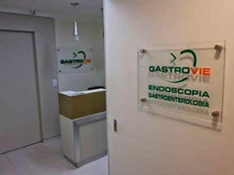 Gastrovie — foto 3
